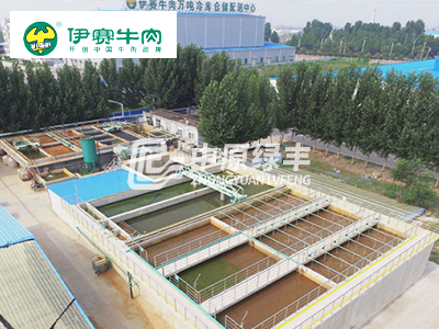 伊賽牛肉（博愛分廠）1500m3/d廢水處理案例